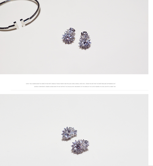 Rosanne earrings[Silver post]