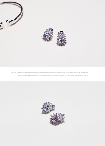 Rosanne earrings[Silver post]